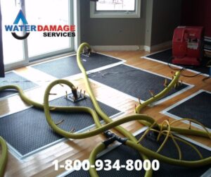 Expert Water Damage Restoration in Fillmore, CA